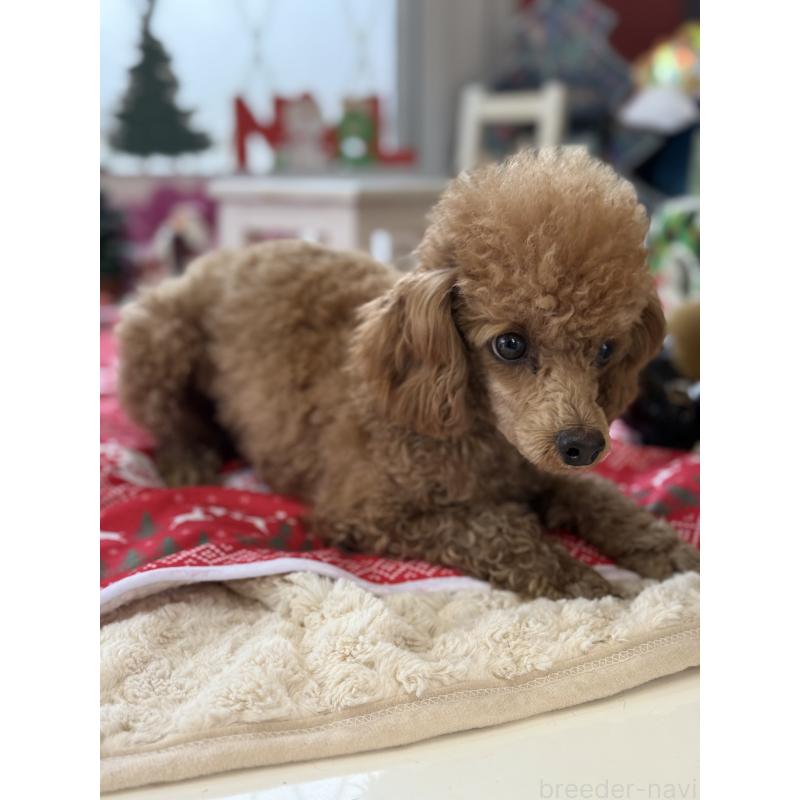 セブンちゃん1枚目