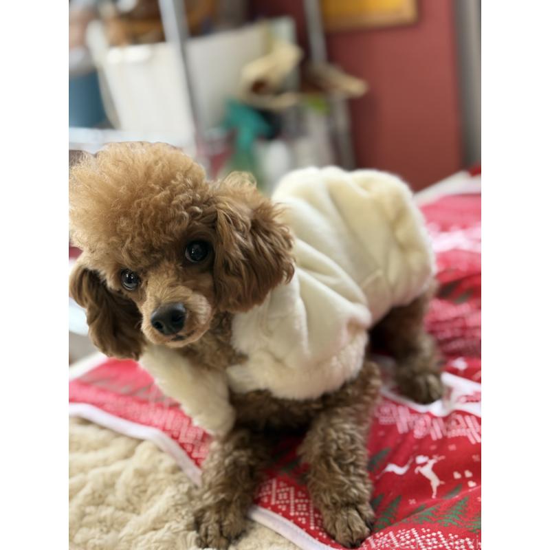 セブンちゃん1枚目