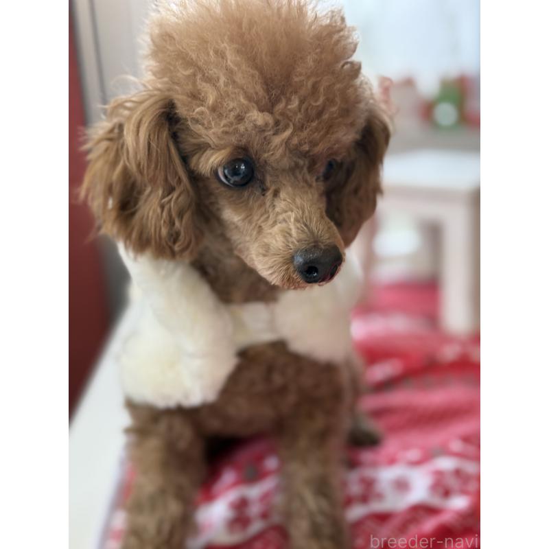 セブンちゃん1枚目