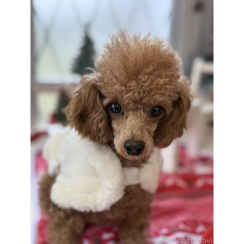 セブンちゃん1枚目