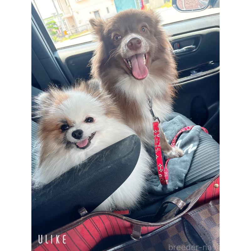 ボニーちゃん1枚目