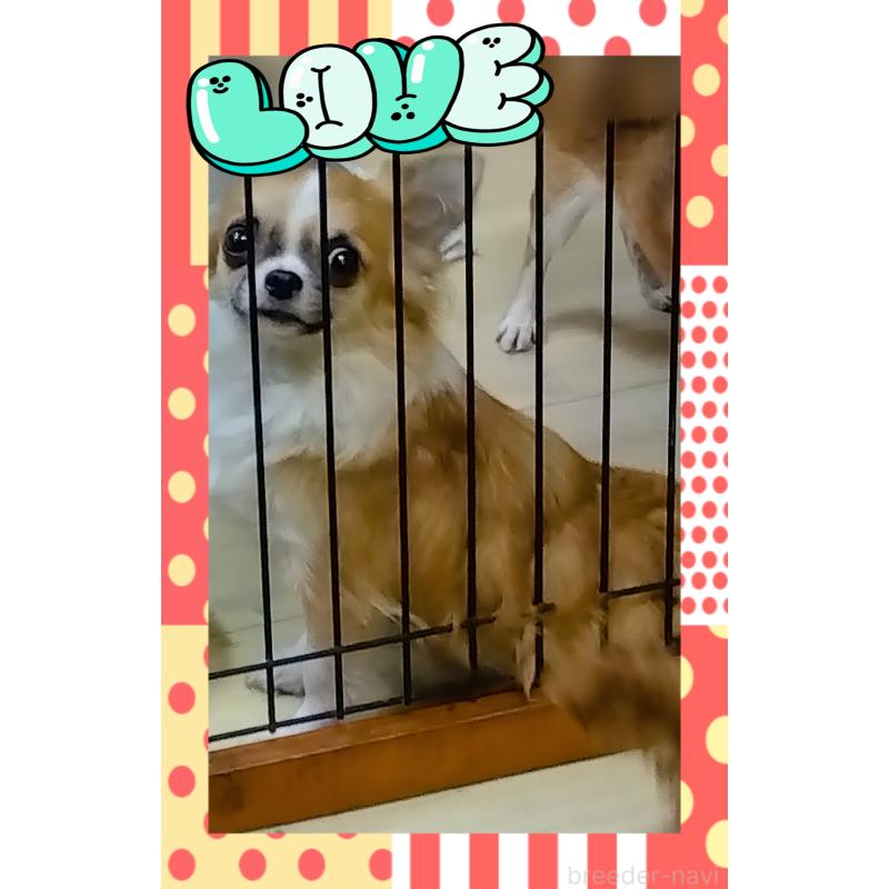 🌻じゅり🌻ちゃん1枚目