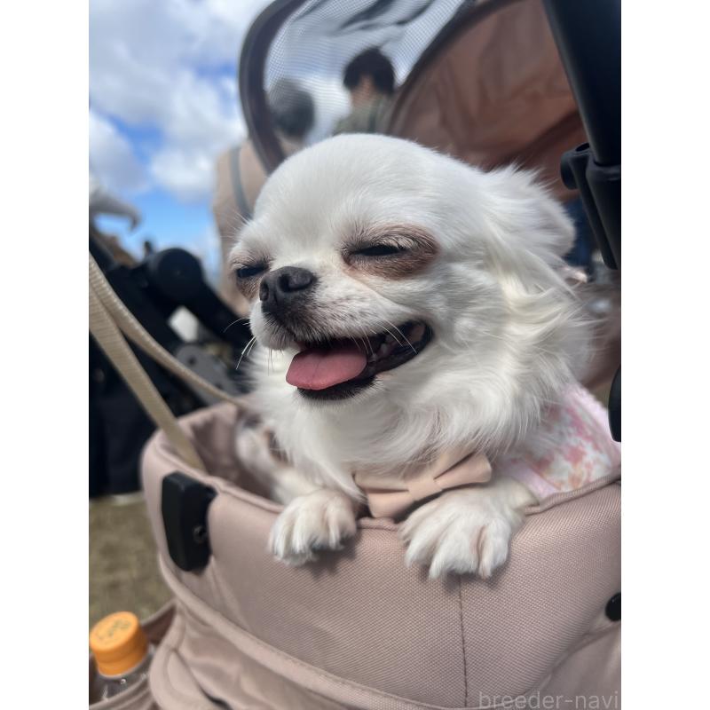 はにわちゃん1枚目