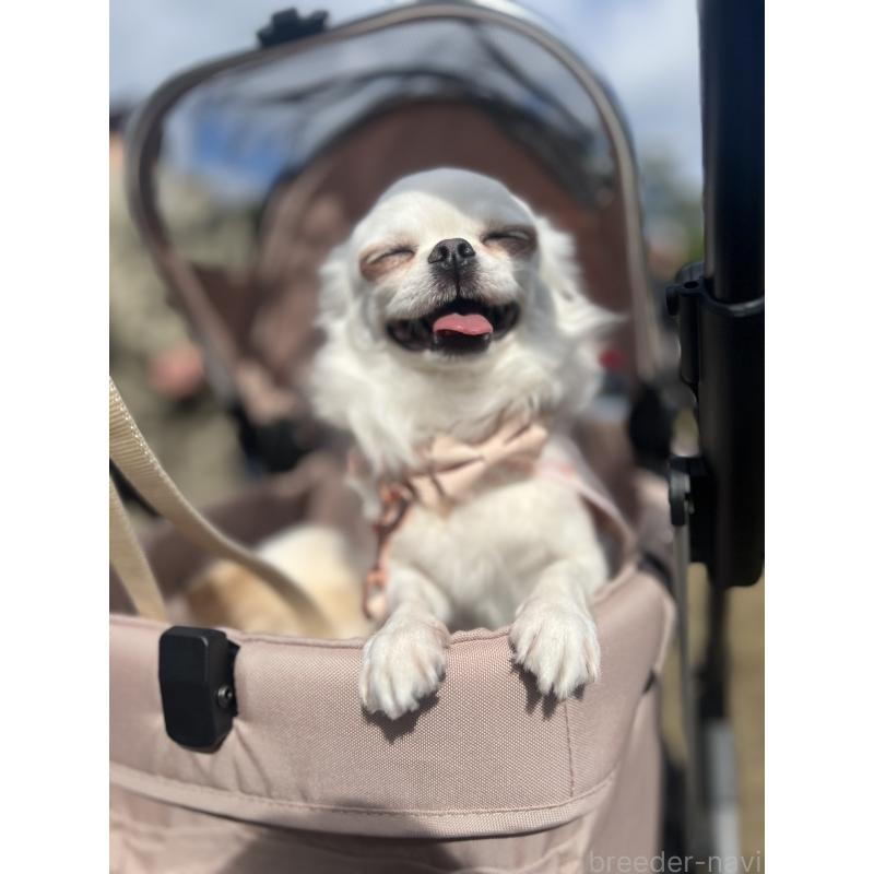 はにわちゃん1枚目