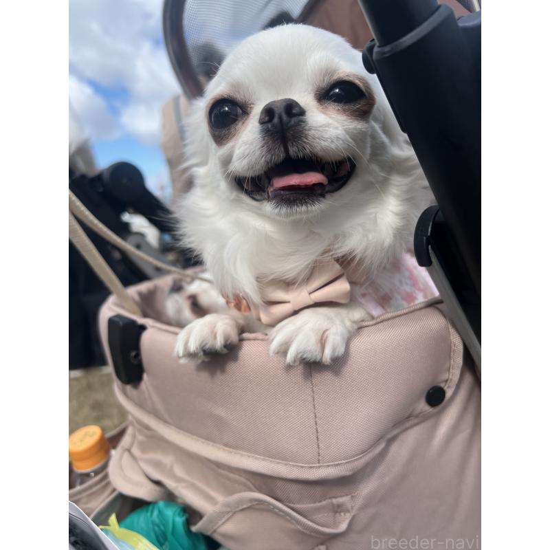 はにわちゃん1枚目