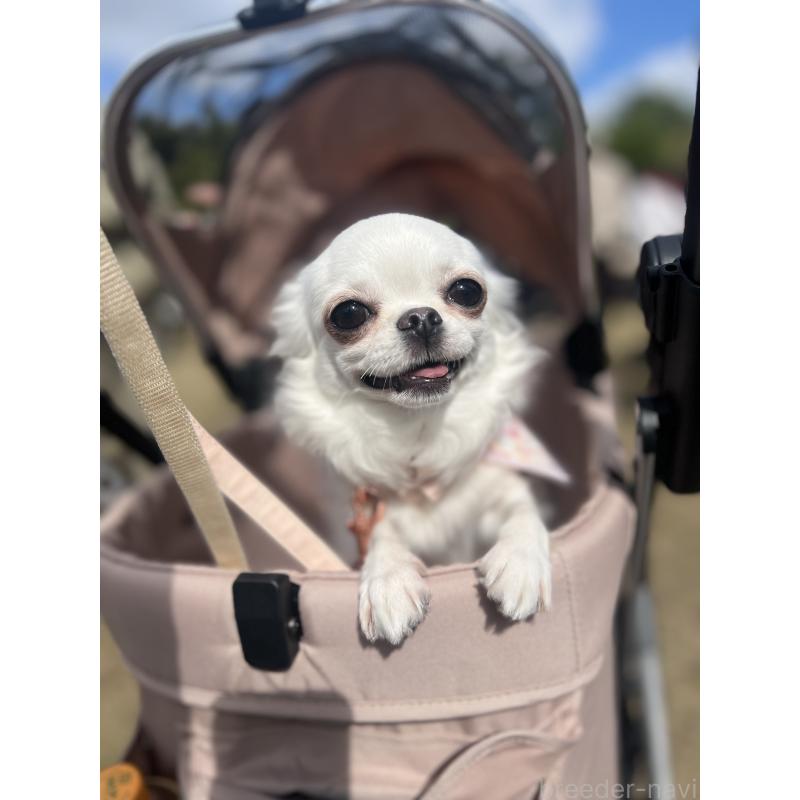 はにわちゃん1枚目