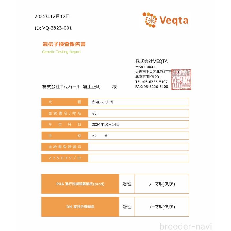 マリーちゃん1枚目