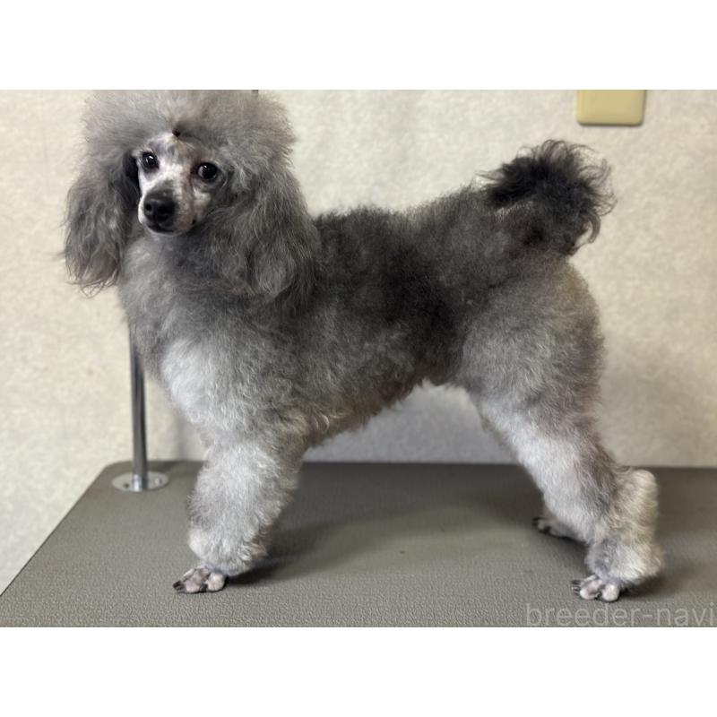 マイティーくん1枚目