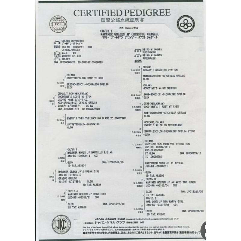 シャガールくん1枚目