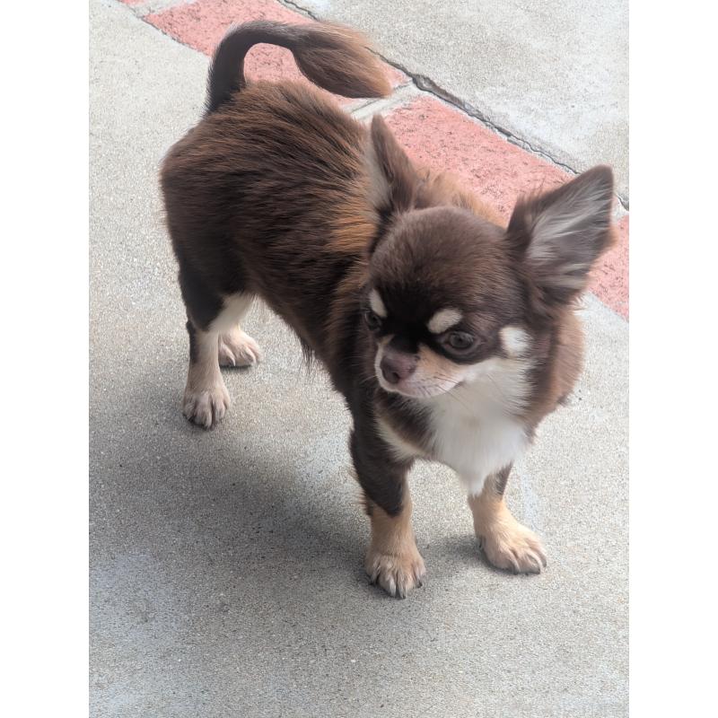 ティファちゃん1枚目