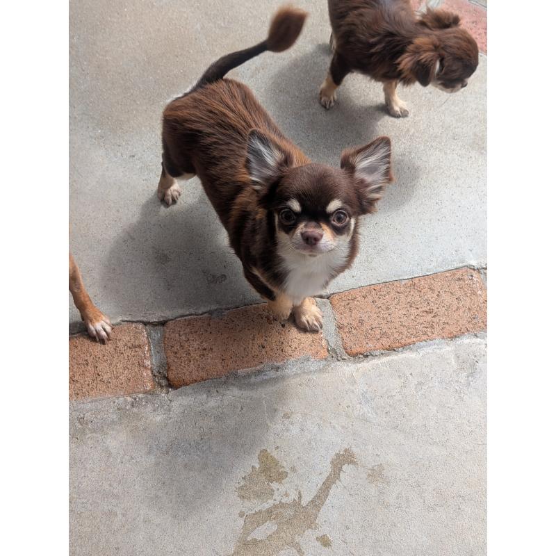 ティファちゃん1枚目