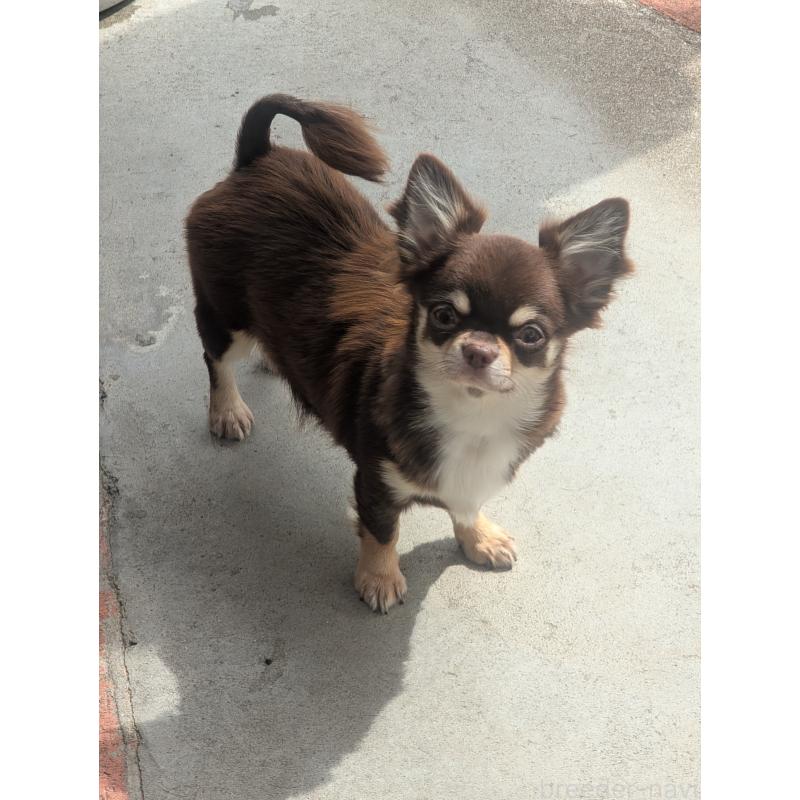 ティファちゃん1枚目