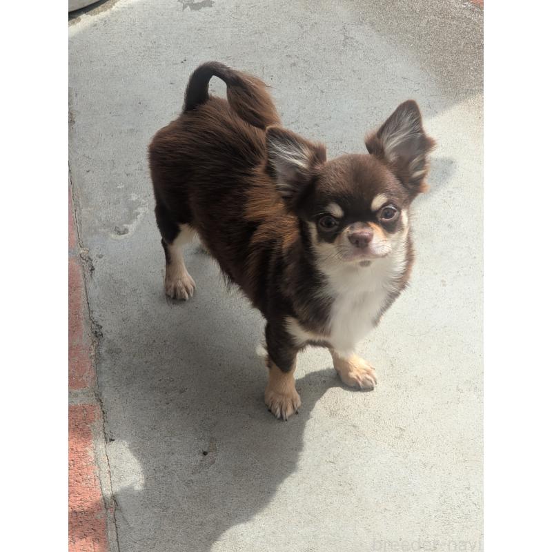 ティファちゃん1枚目