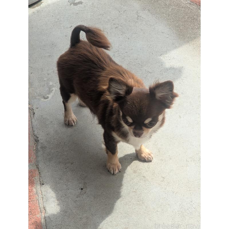 ティファちゃん1枚目