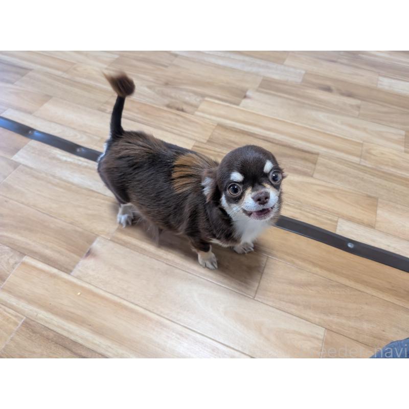 ティファちゃん1枚目