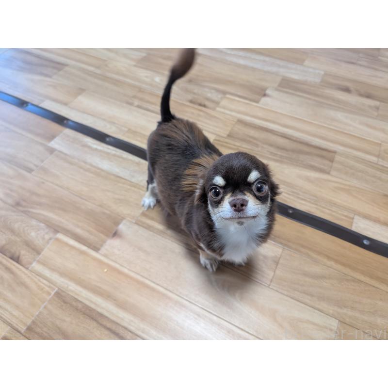 ティファちゃん1枚目