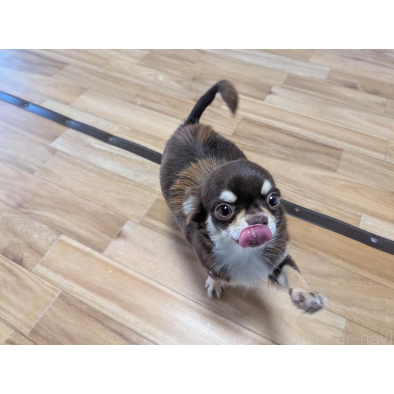 ティファちゃん1枚目