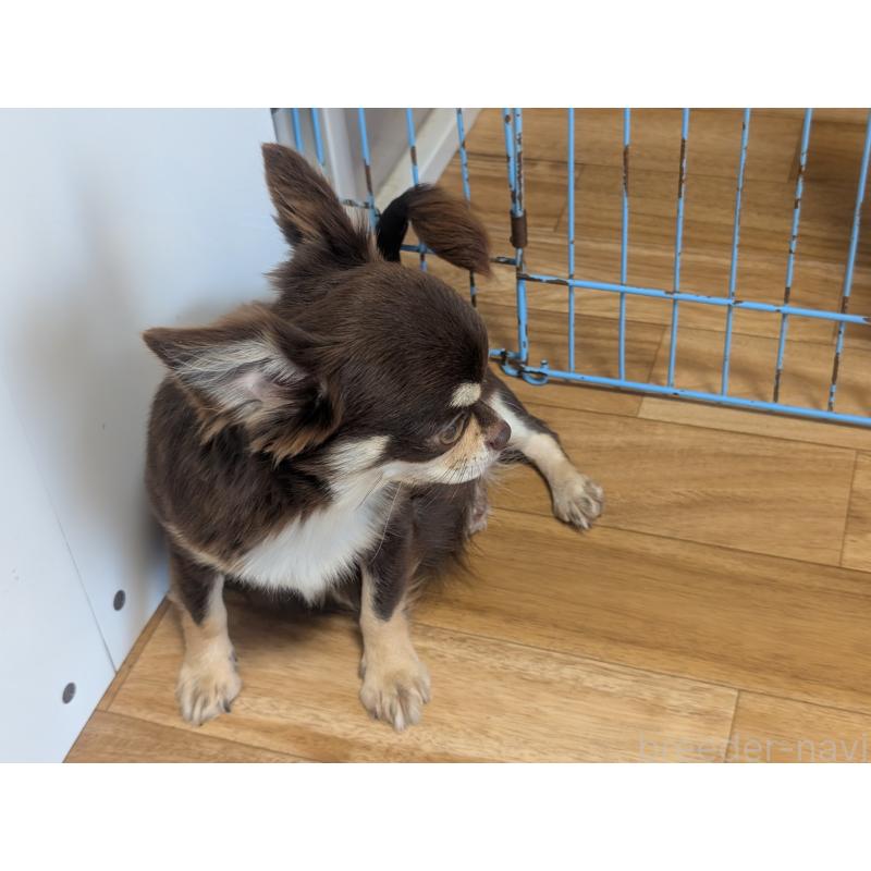 ティファちゃん1枚目