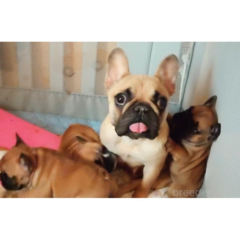 ラミリスちゃん1枚目