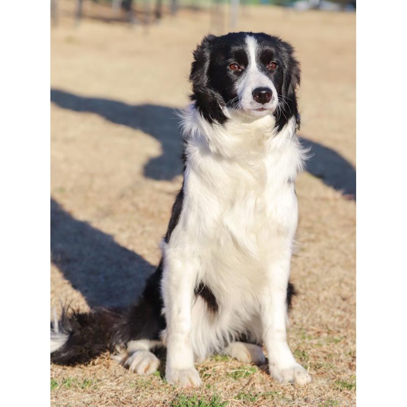 ライヤちゃん1枚目