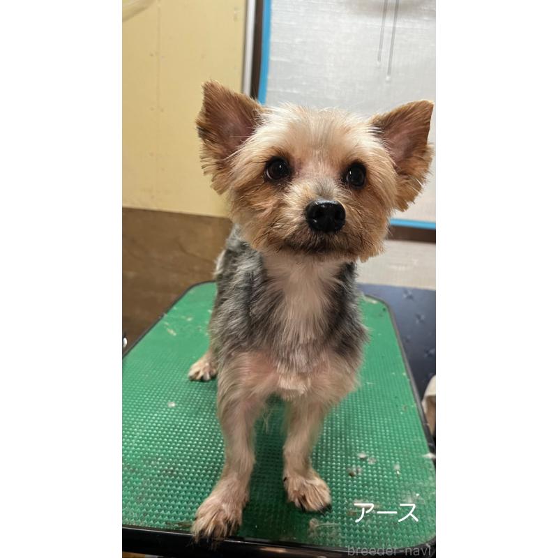 アースくん1枚目