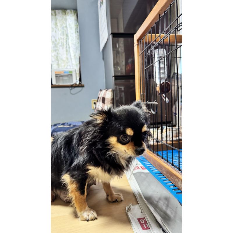 黑妹ちゃん1枚目