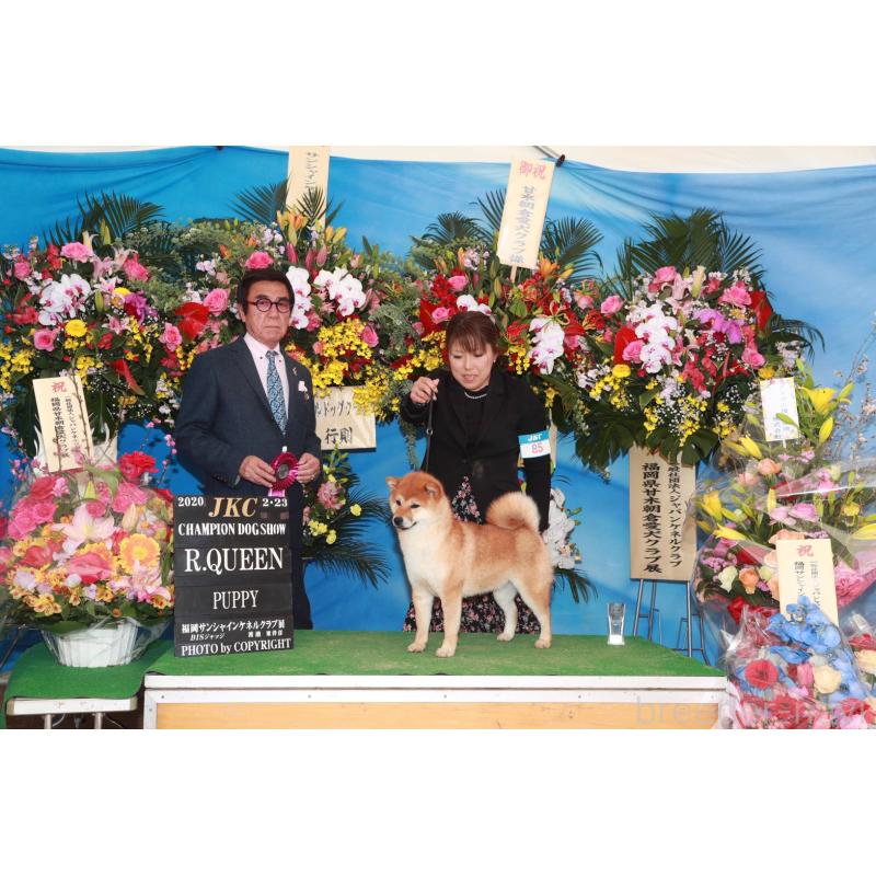 アイカちゃん1枚目