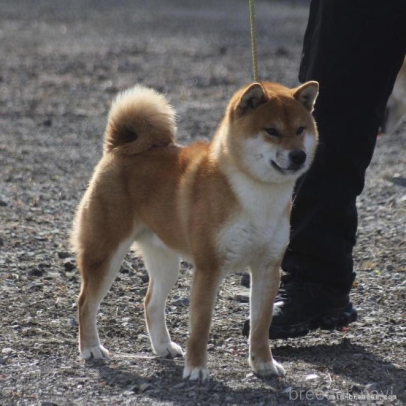 フクちゃんくん1枚目