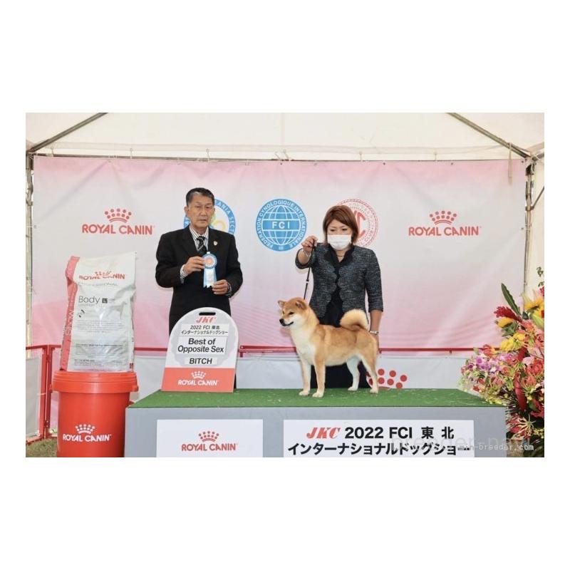 アイカちゃん1枚目