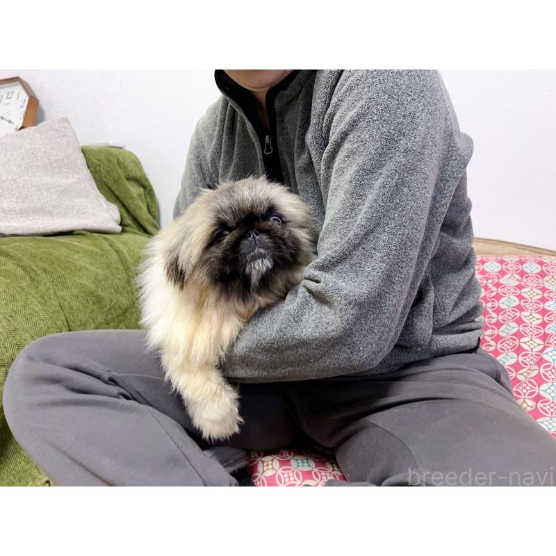 熊三妹くん1枚目