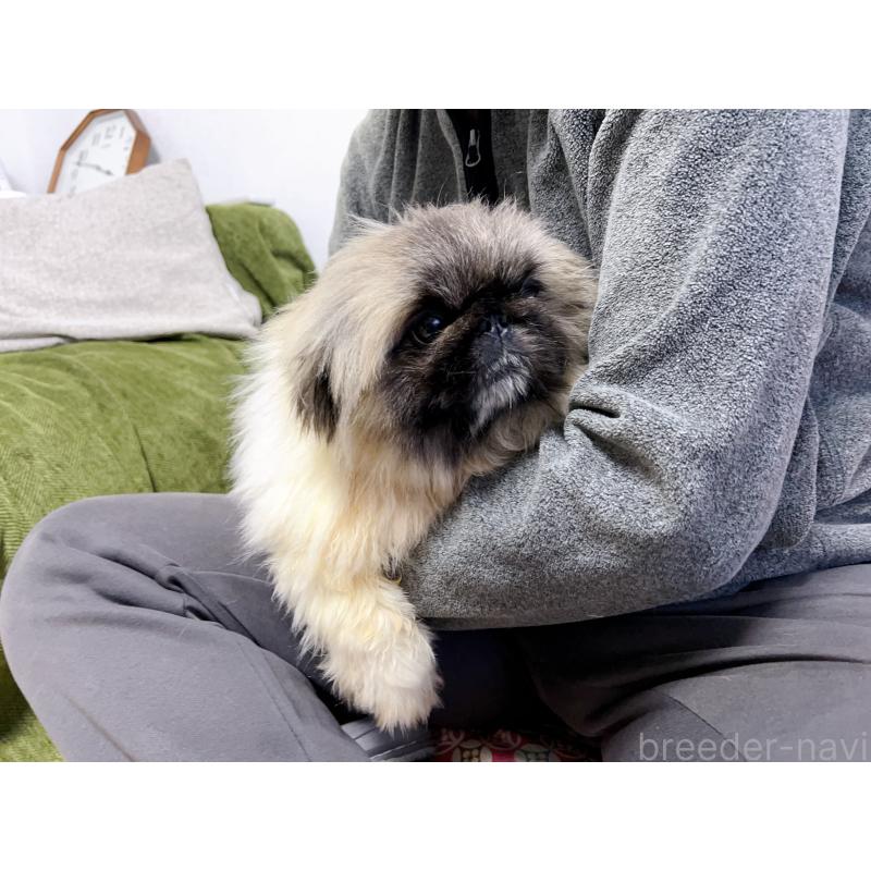 熊三妹くん1枚目