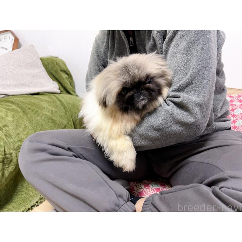 熊三妹くん1枚目