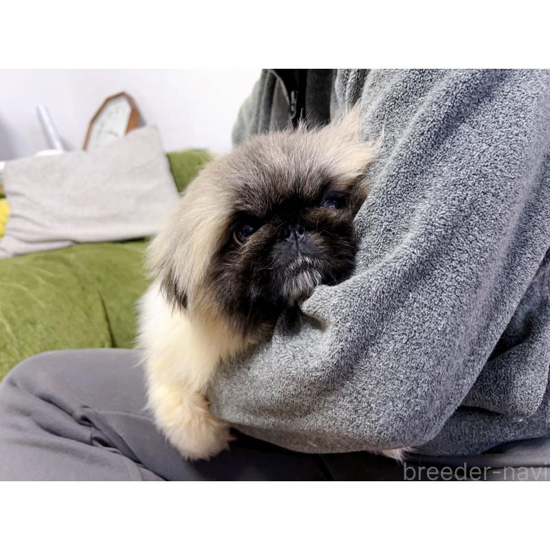 熊三妹くん1枚目