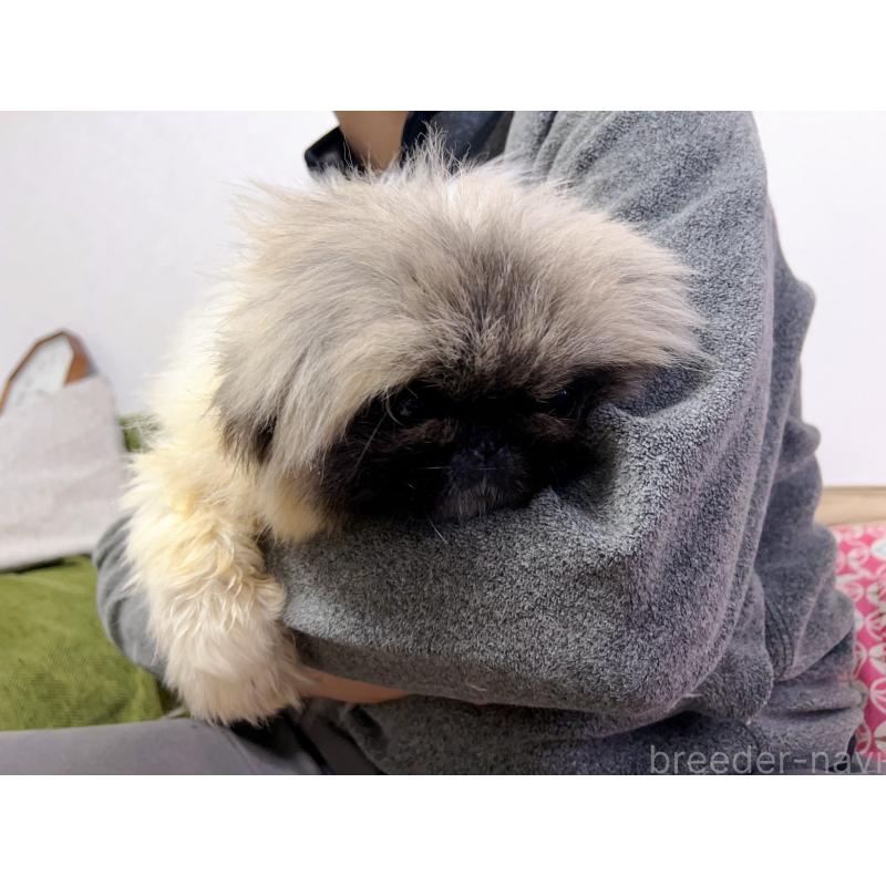 熊三妹くん1枚目