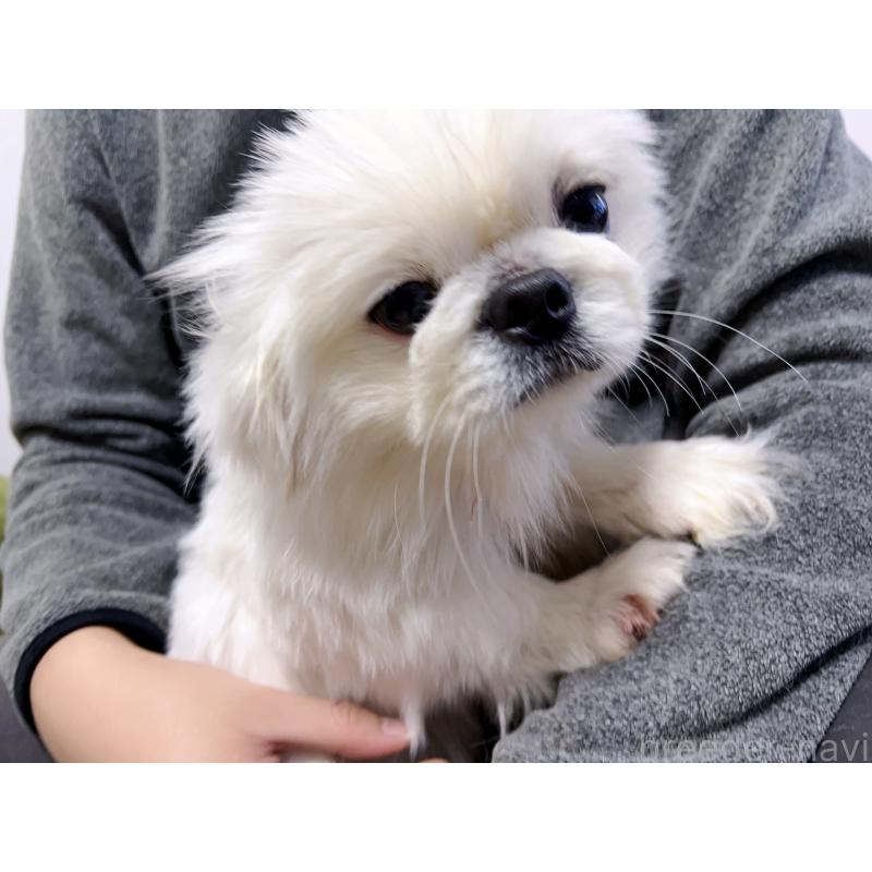 熊二妹くん1枚目