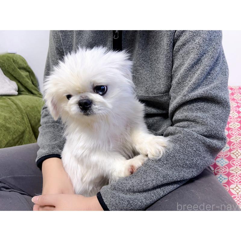 熊二妹くん1枚目