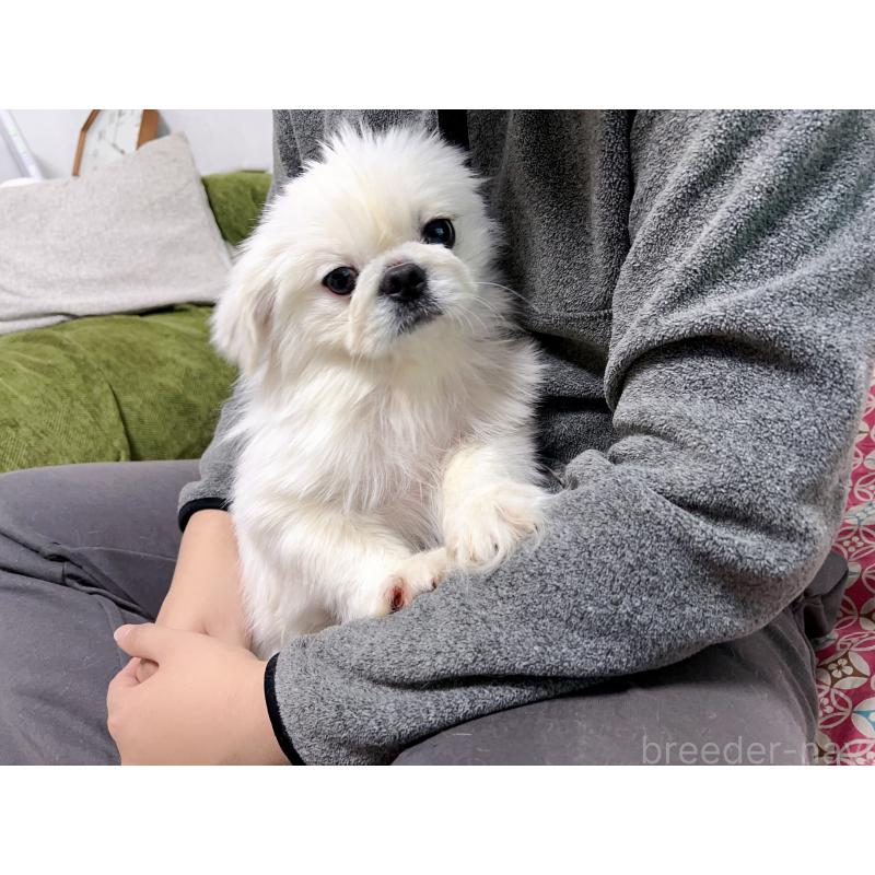 熊二妹くん1枚目