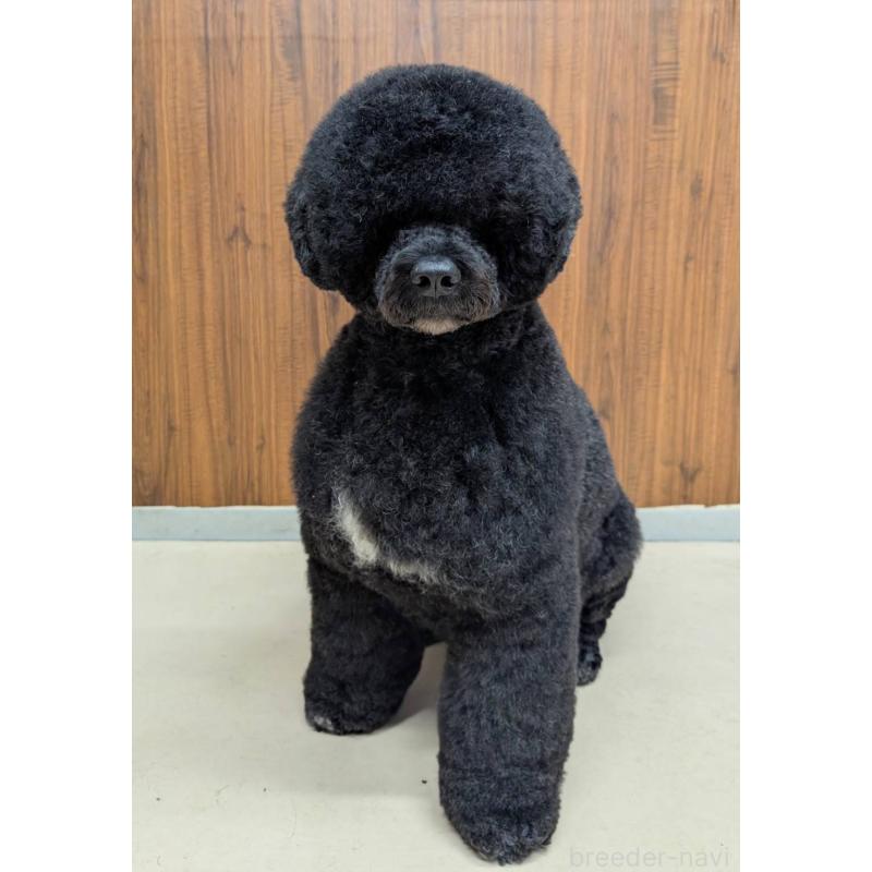 モリコちゃん1枚目