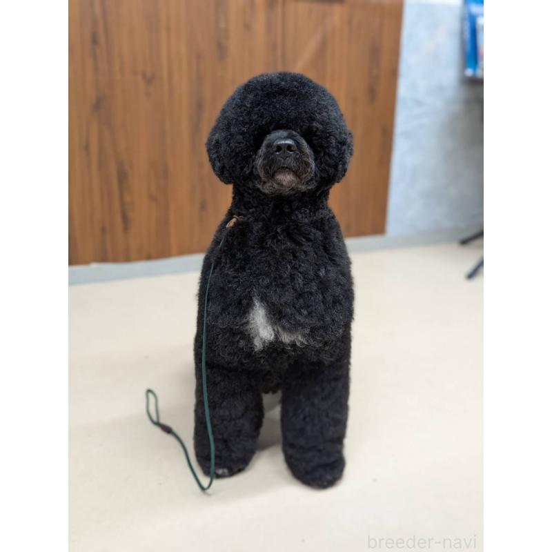 モリコちゃん1枚目