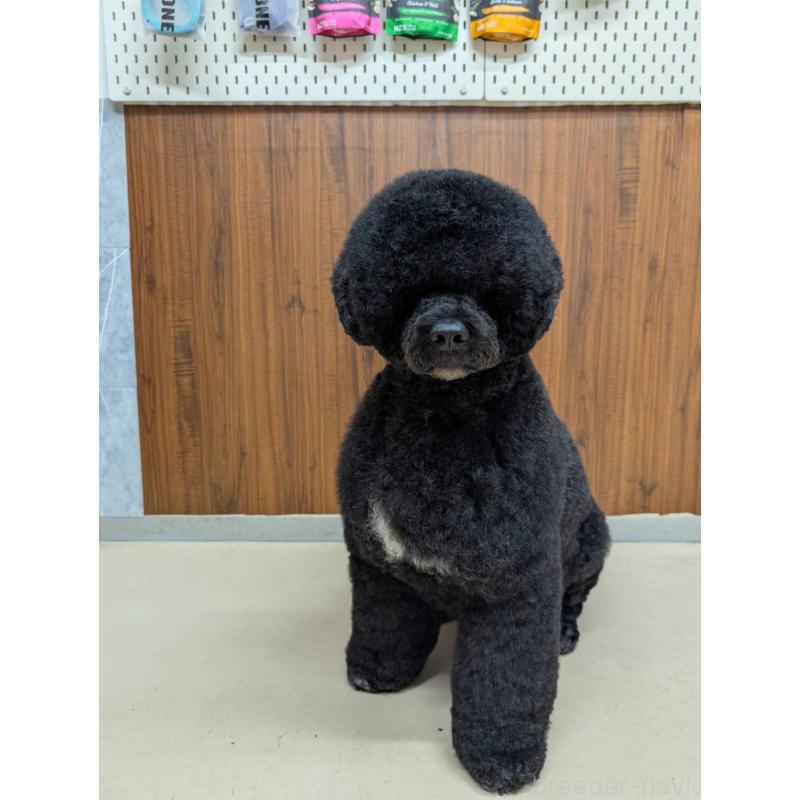 モリコちゃん1枚目