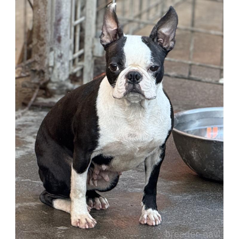 ランちゃん1枚目