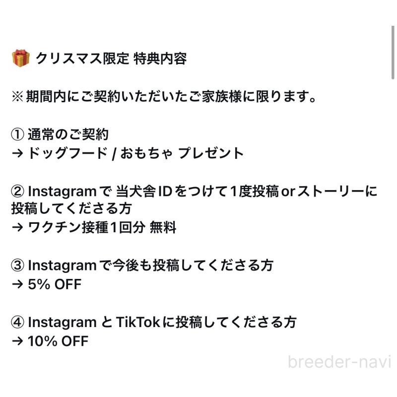 販売中の大阪府のチワワ(スムースコート)-433513の2枚目