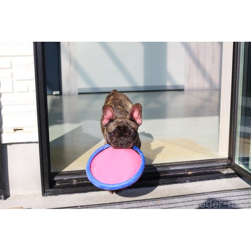 販売中の京都府のフレンチブルドッグ-417030の2枚目