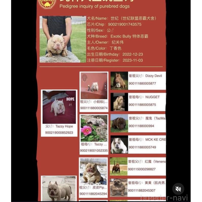 DOM(ドム)くん1枚目