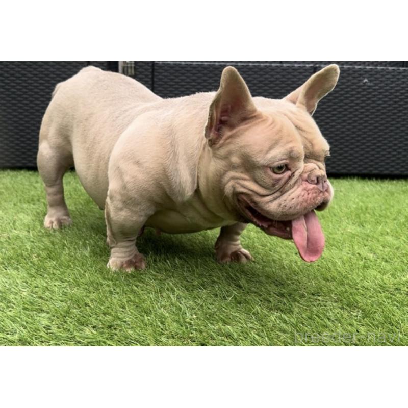 LETTY(レティ)ちゃん1枚目