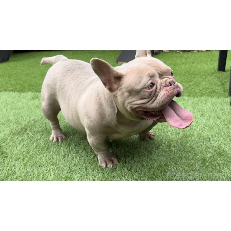 LETTY(レティ)ちゃん1枚目