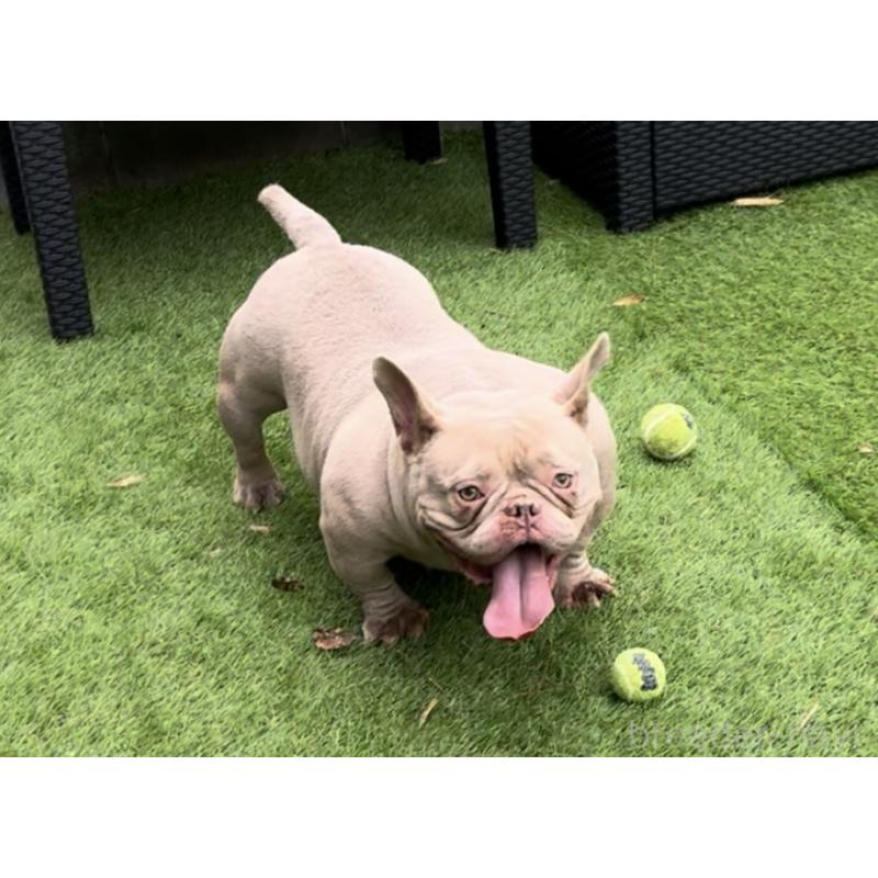 LETTY(レティ)ちゃん1枚目