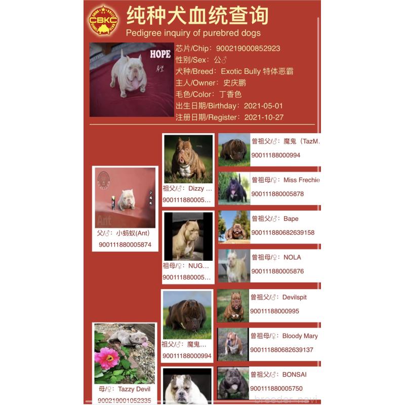 LETTY(レティ)ちゃん1枚目