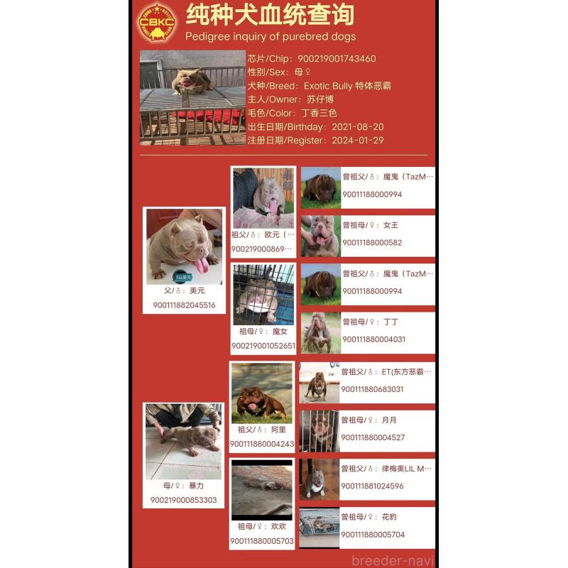 LETTY(レティ)ちゃん1枚目