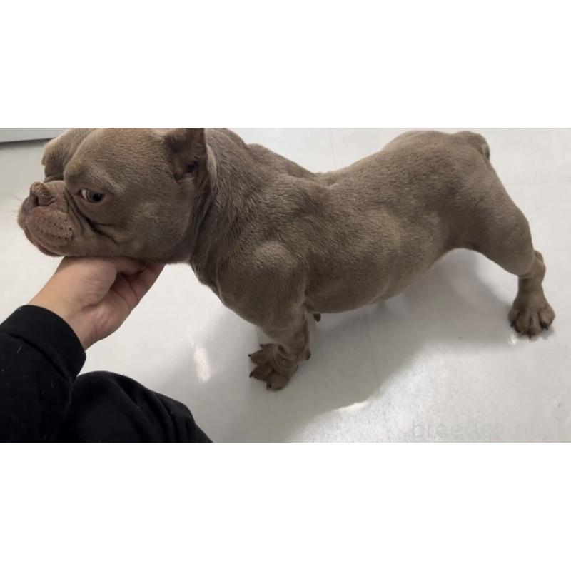 MARE(メア)ちゃん1枚目